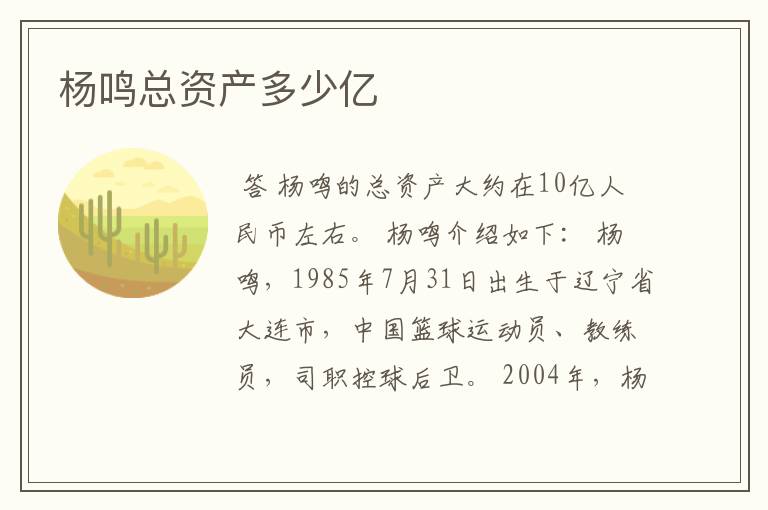 杨鸣总资产多少亿