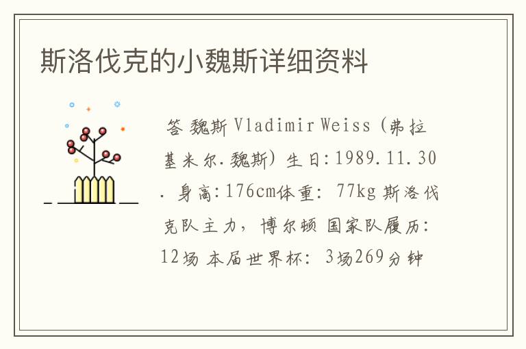 斯洛伐克的小魏斯详细资料