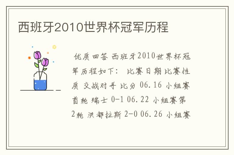 西班牙2010世界杯冠军历程