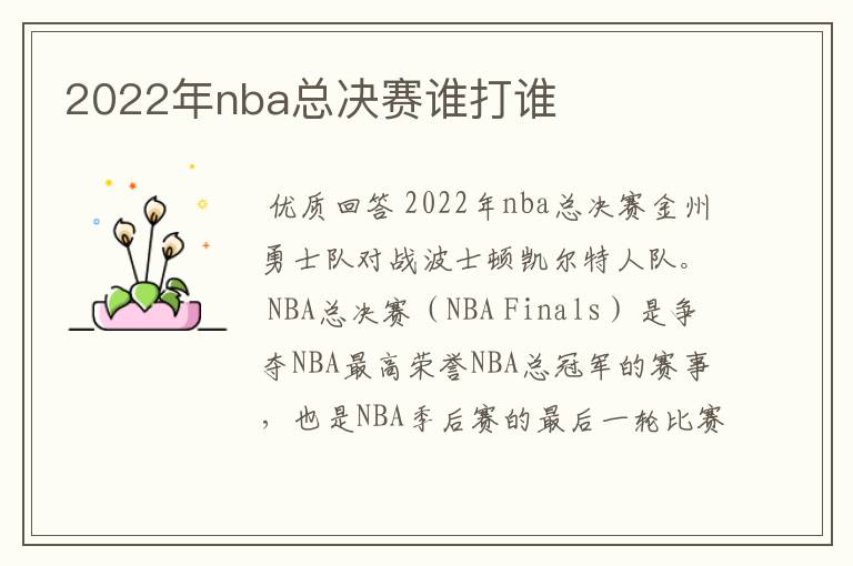 2022年nba总决赛谁打谁
