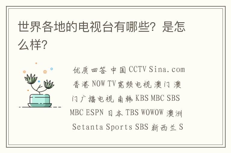 世界各地的电视台有哪些？是怎么样？