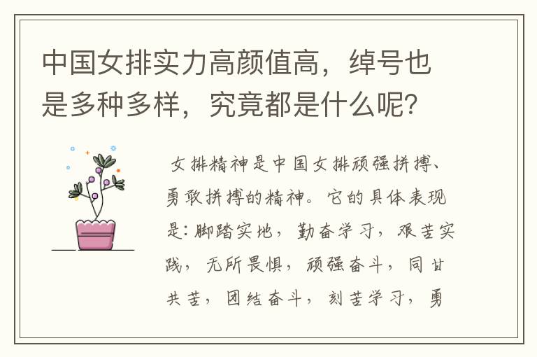 中国女排实力高颜值高，绰号也是多种多样，究竟都是什么呢？