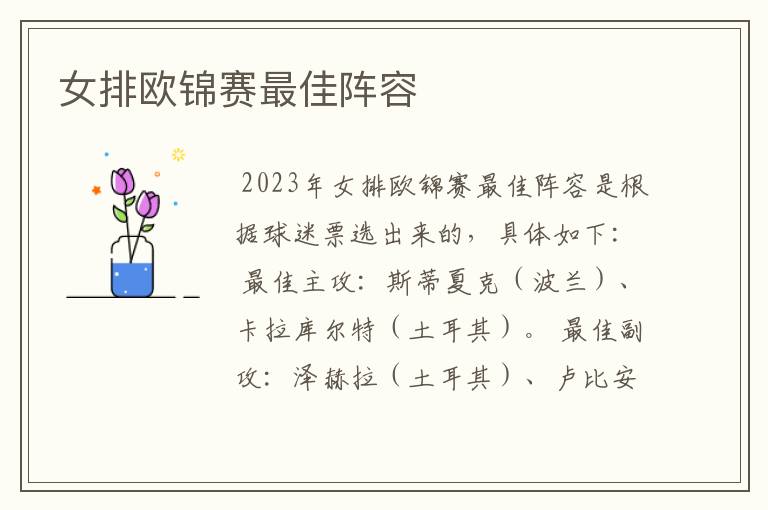 女排欧锦赛最佳阵容