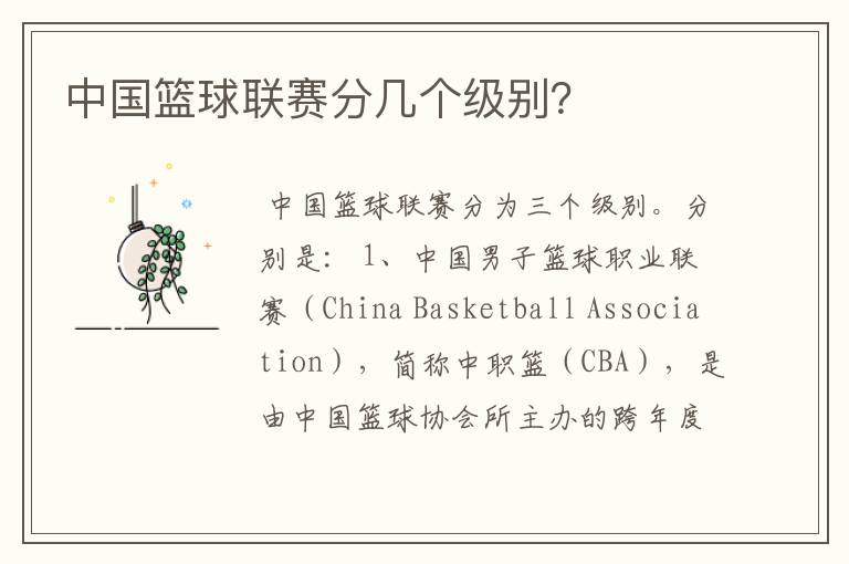 中国篮球联赛分几个级别？