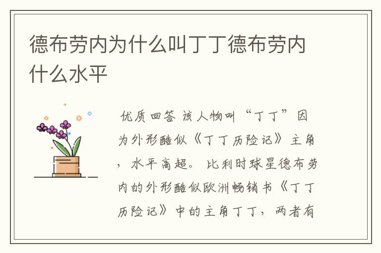 德布劳内为什么叫丁丁德布劳内什么水平