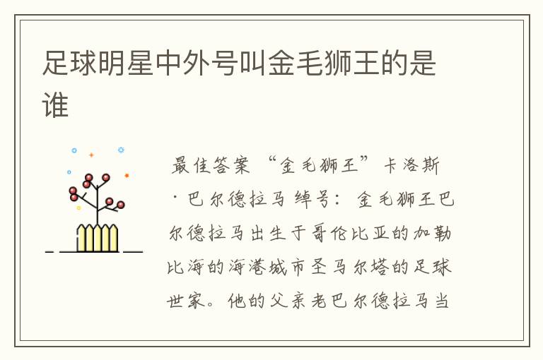 足球明星中外号叫金毛狮王的是谁