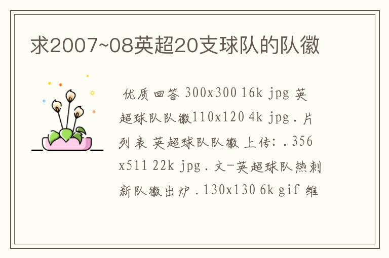 求2007~08英超20支球队的队徽