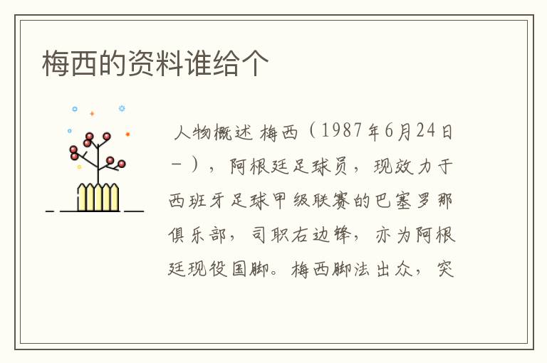 梅西的资料谁给个