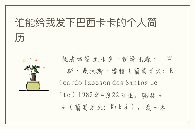 谁能给我发下巴西卡卡的个人简历