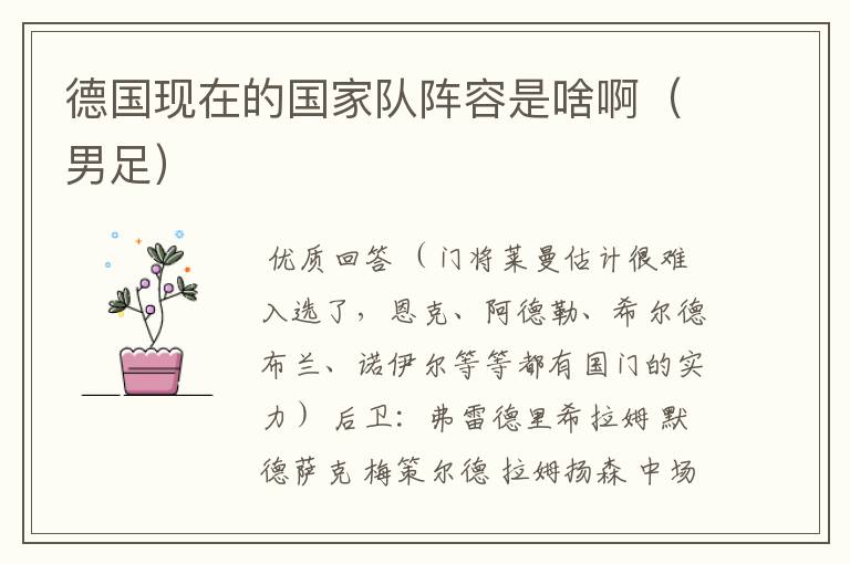 德国现在的国家队阵容是啥啊（男足）