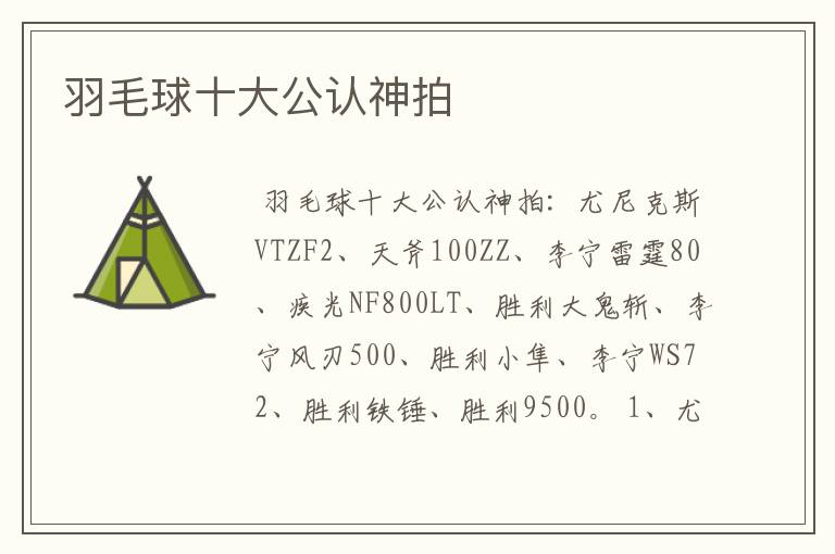 羽毛球十大公认神拍