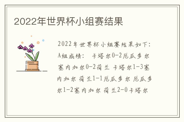 2022年世界杯小组赛结果