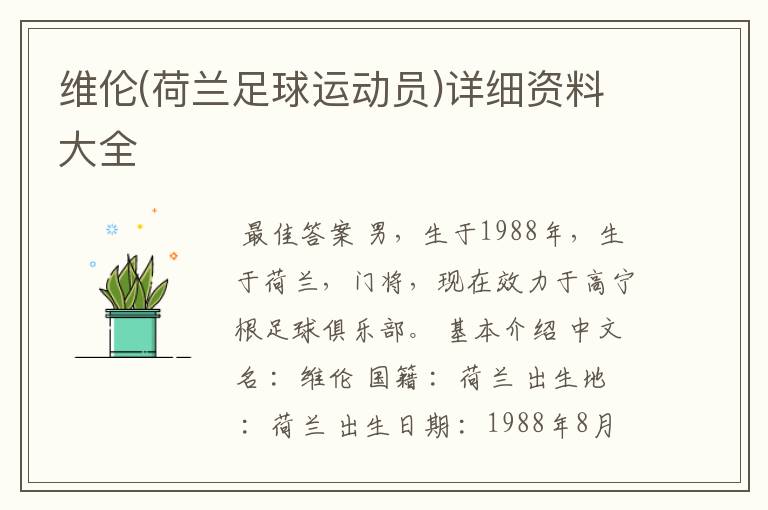 维伦(荷兰足球运动员)详细资料大全