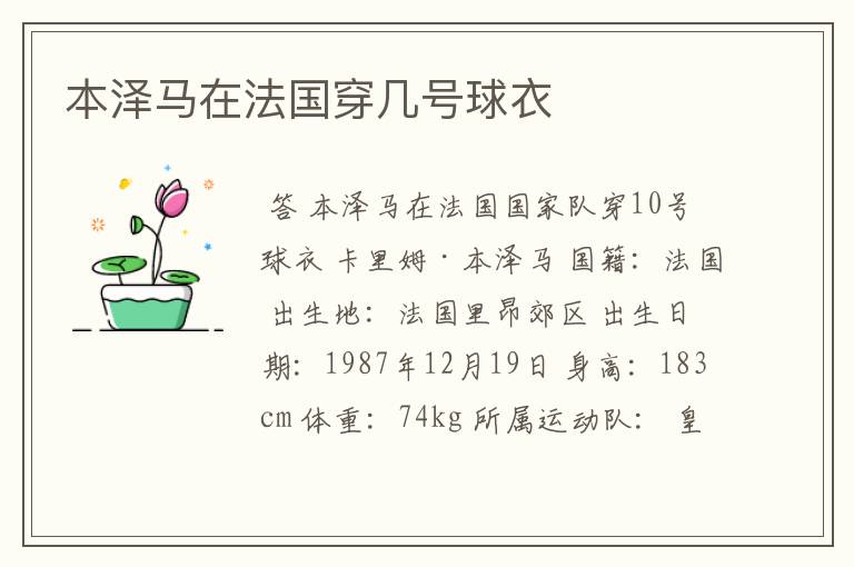 本泽马在法国穿几号球衣