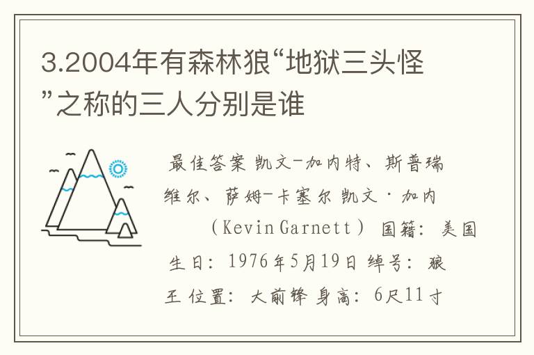 3.2004年有森林狼“地狱三头怪”之称的三人分别是谁
