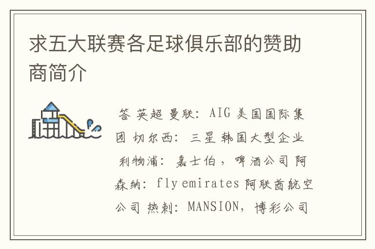 求五大联赛各足球俱乐部的赞助商简介