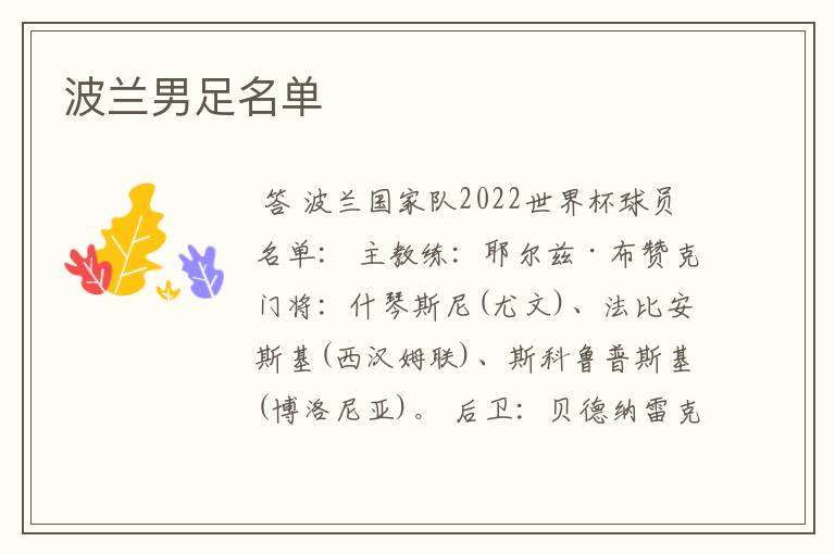 波兰男足名单