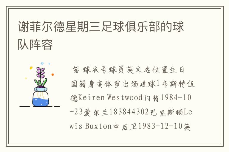谢菲尔德星期三足球俱乐部的球队阵容