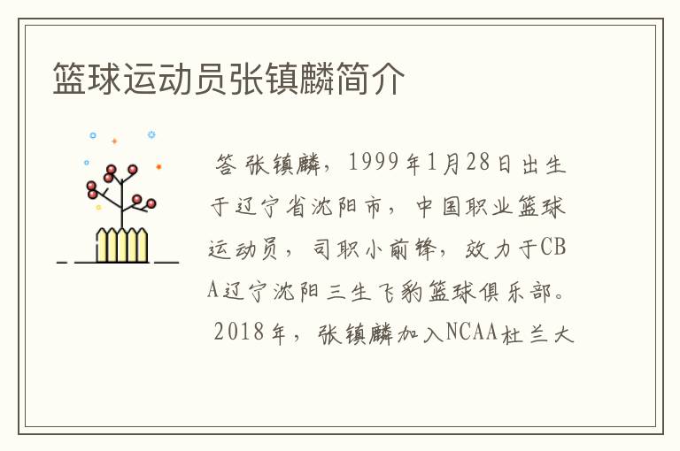 篮球运动员张镇麟简介