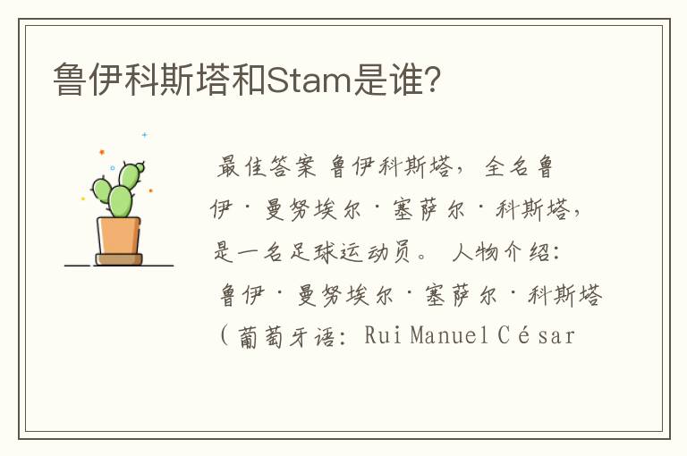 鲁伊科斯塔和Stam是谁?