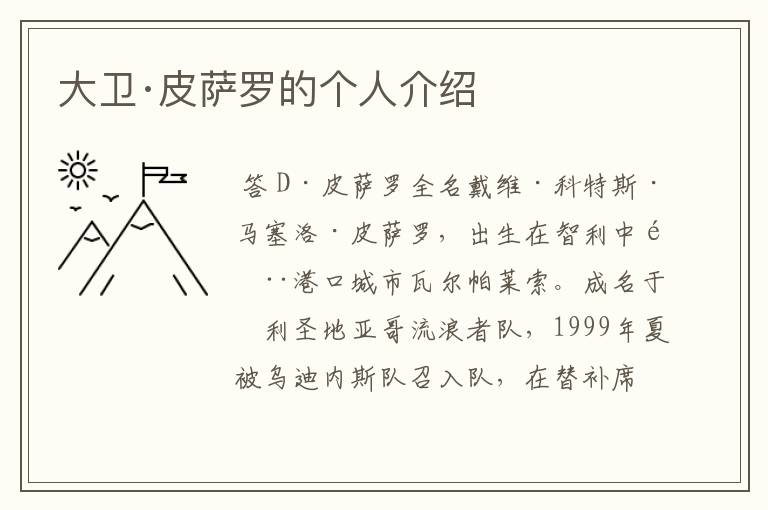 大卫·皮萨罗的个人介绍