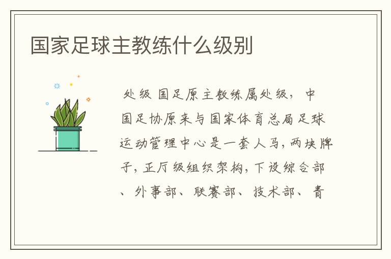 国家足球主教练什么级别