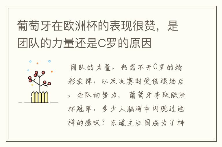 葡萄牙在欧洲杯的表现很赞，是团队的力量还是C罗的原因