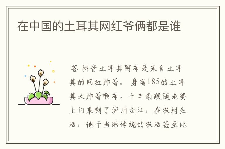 在中国的土耳其网红爷俩都是谁