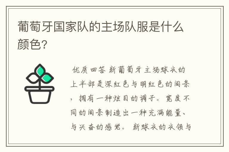 葡萄牙国家队的主场队服是什么颜色?