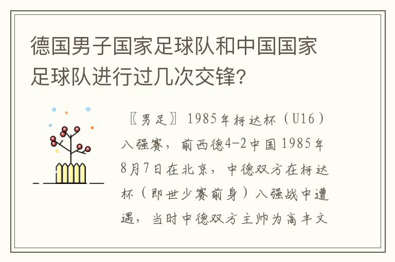 德国男子国家足球队和中国国家足球队进行过几次交锋?