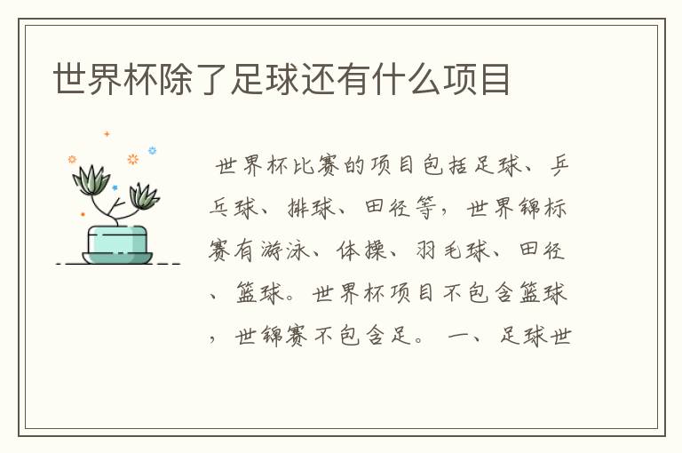 世界杯除了足球还有什么项目