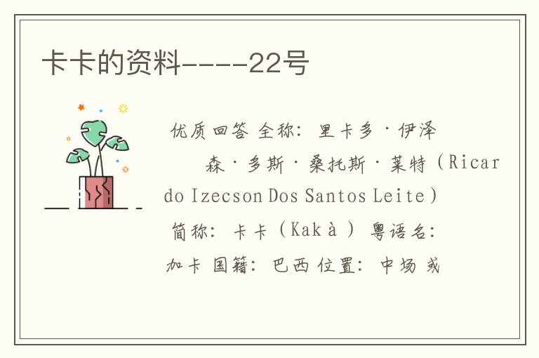 卡卡的资料----22号