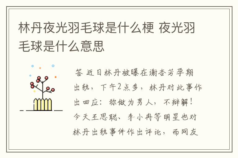 林丹夜光羽毛球是什么梗 夜光羽毛球是什么意思