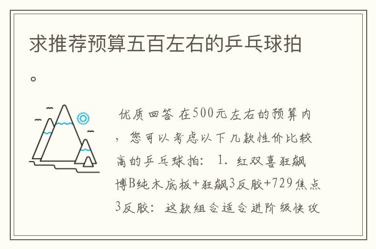 求推荐预算五百左右的乒乓球拍。