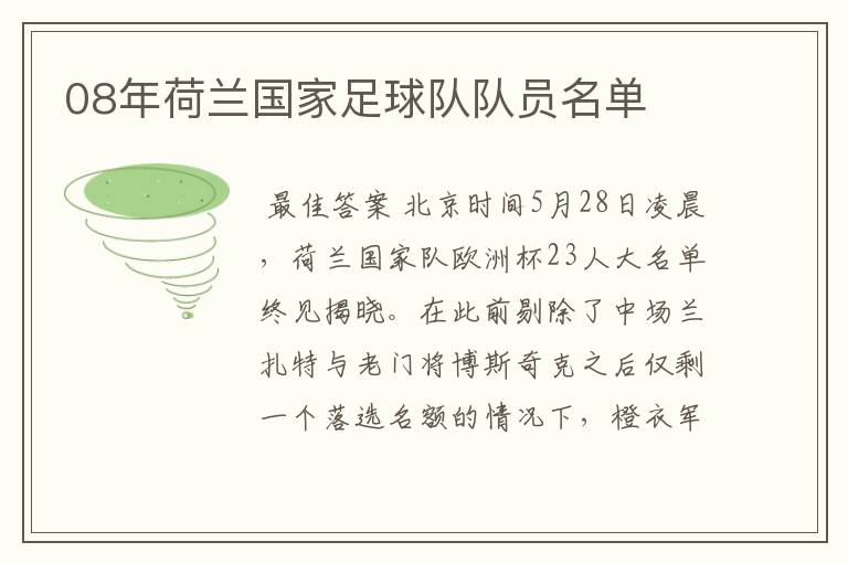08年荷兰国家足球队队员名单