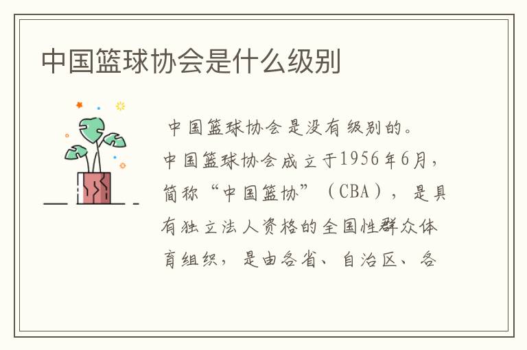 中国篮球协会是什么级别