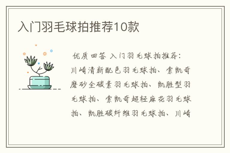 入门羽毛球拍推荐10款