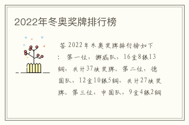 2022年冬奥奖牌排行榜