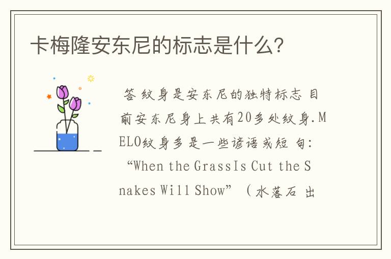 卡梅隆安东尼的标志是什么？
