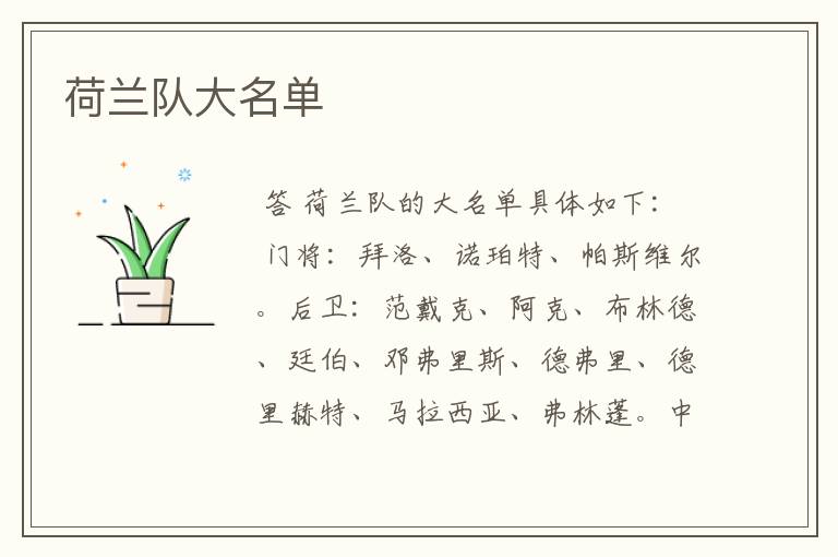 荷兰队大名单