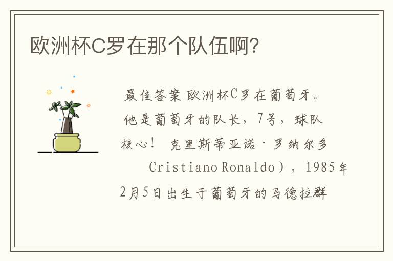 欧洲杯C罗在那个队伍啊?