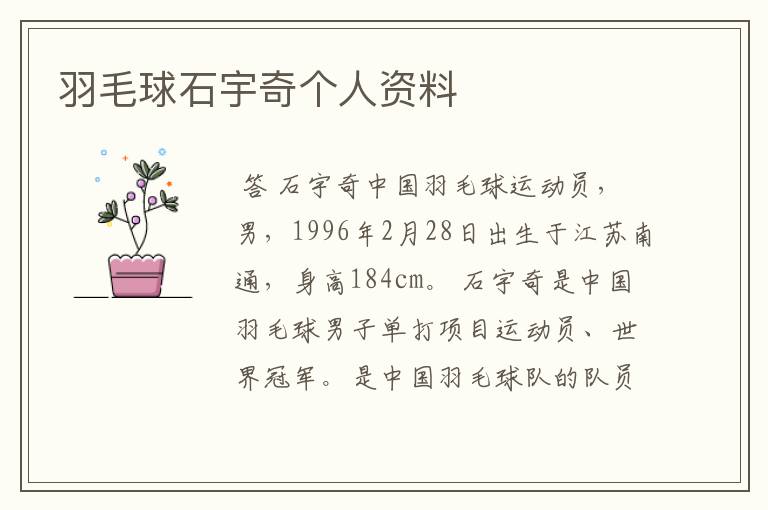 羽毛球石宇奇个人资料