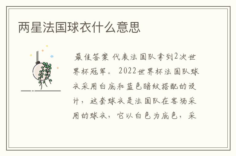 两星法国球衣什么意思