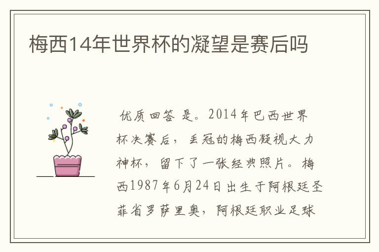 梅西14年世界杯的凝望是赛后吗