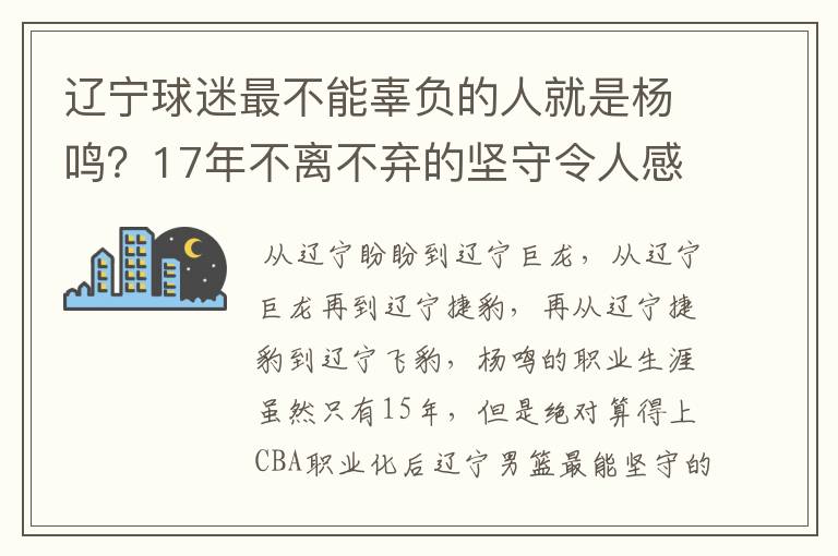 辽宁球迷最不能辜负的人就是杨鸣?17年不离不弃的坚守令人感动