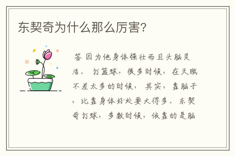 东契奇为什么那么厉害?