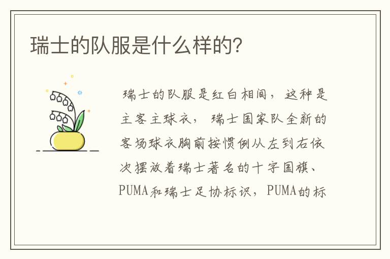 瑞士的队服是什么样的?