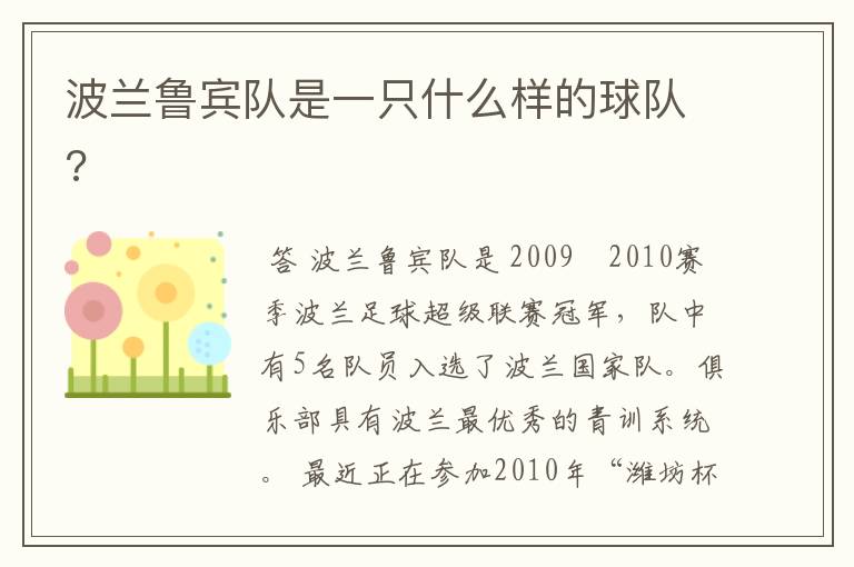 波兰鲁宾队是一只什么样的球队?