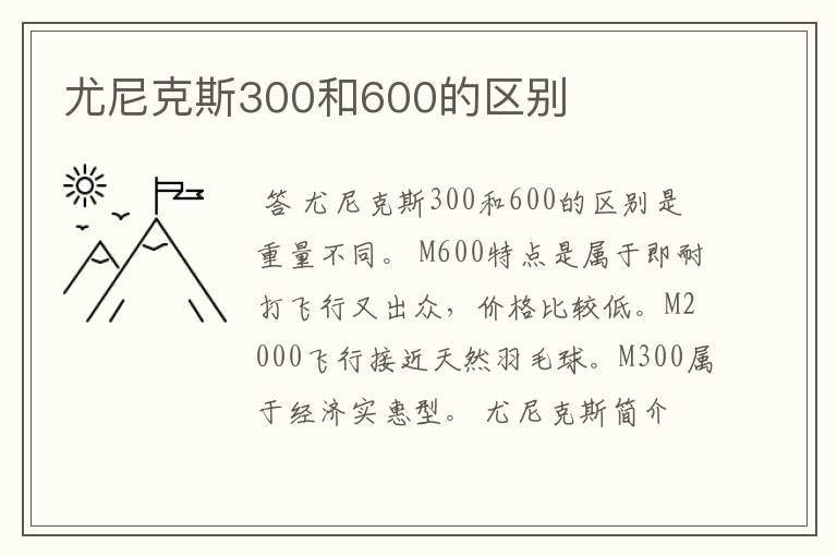 尤尼克斯300和600的区别