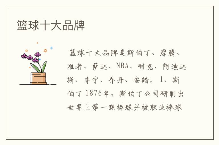 篮球十大品牌